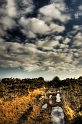 landes de lanfains 4_04_10n01